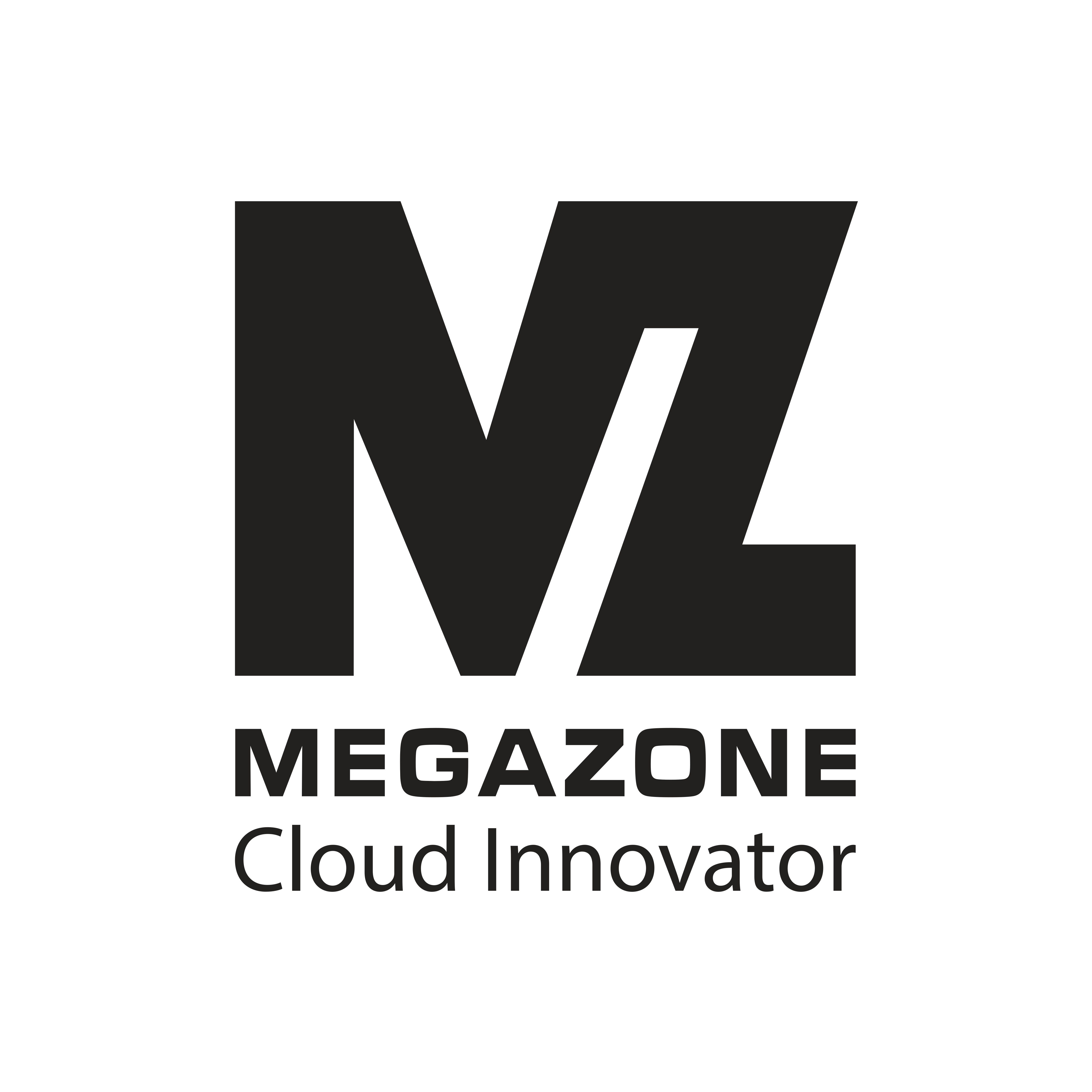 Megazone Vietnam Company Limited