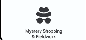 Mystery Shopping & Fieldwork