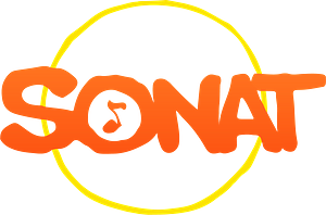 CÔNG TY CỔ PHẦN SONAT