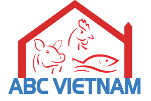 CÔNG TY CỔ PHẦN ABC VIỆT NAM