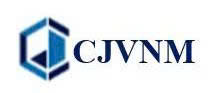 CÔNG TY TNHH CJVNM