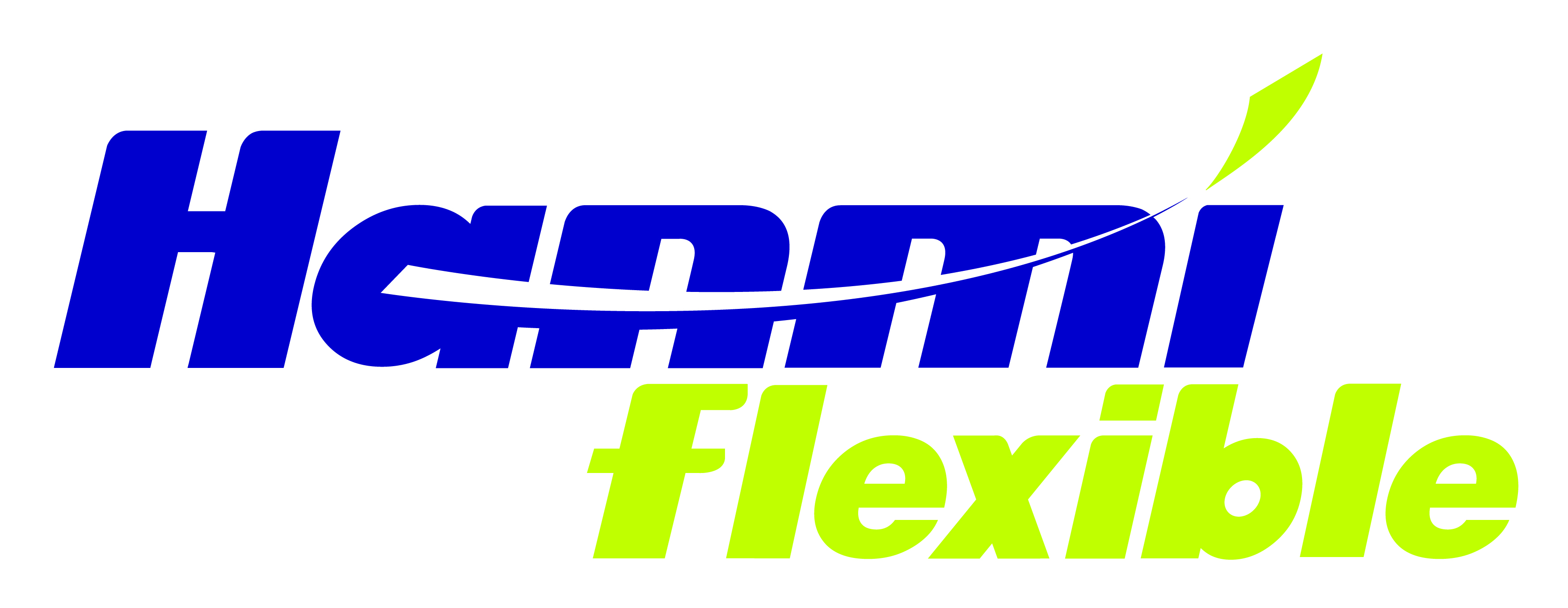 CÔNG TY TNHH HANMIFLEXIBLE VINA HẢI PHÒNG