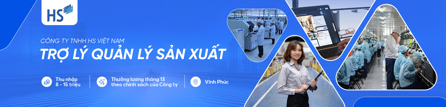 CÔNG TY TNHH HS VIỆT NAM